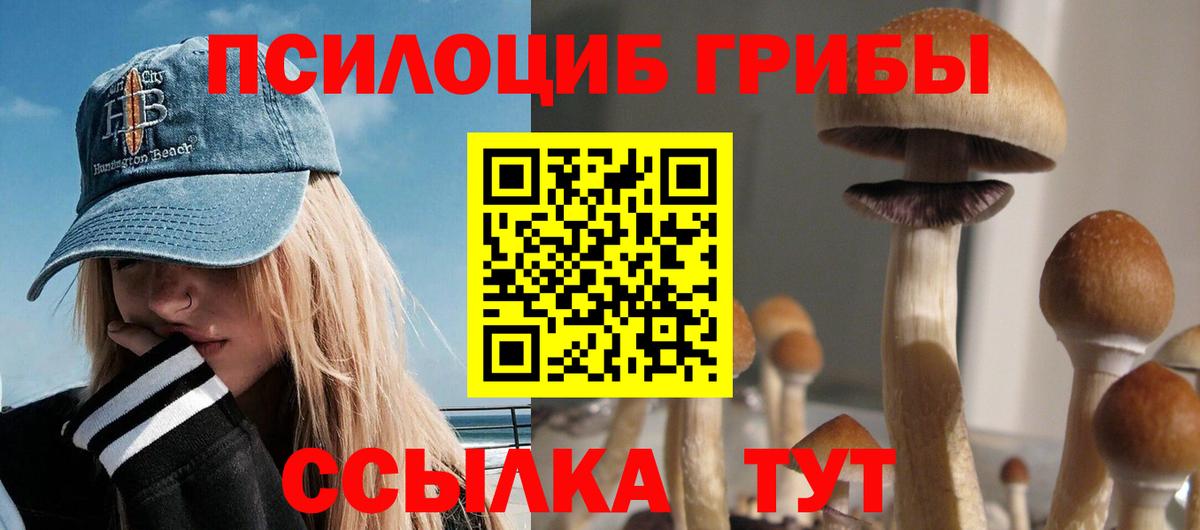 Спасск-Дальний  Галлюциногенные грибы мухоморы  Вход с VPN 